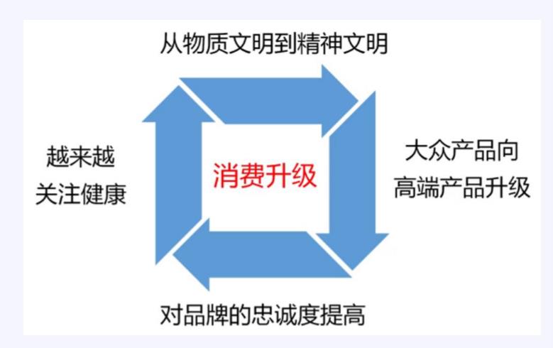 抓住Lazada双12大促机遇 优化产品布局升级